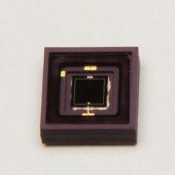 雙色探測器 K12728-010K