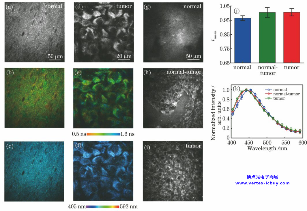 達特茅斯學院和洛桑聯邦理工學院研發新型光電探測器 通過熒光激光雷達成像(圖2) 1-21101Q10414915.png