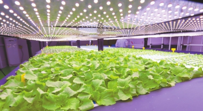 5-211019155055923.jpeg 5-211019155055923.jpeg