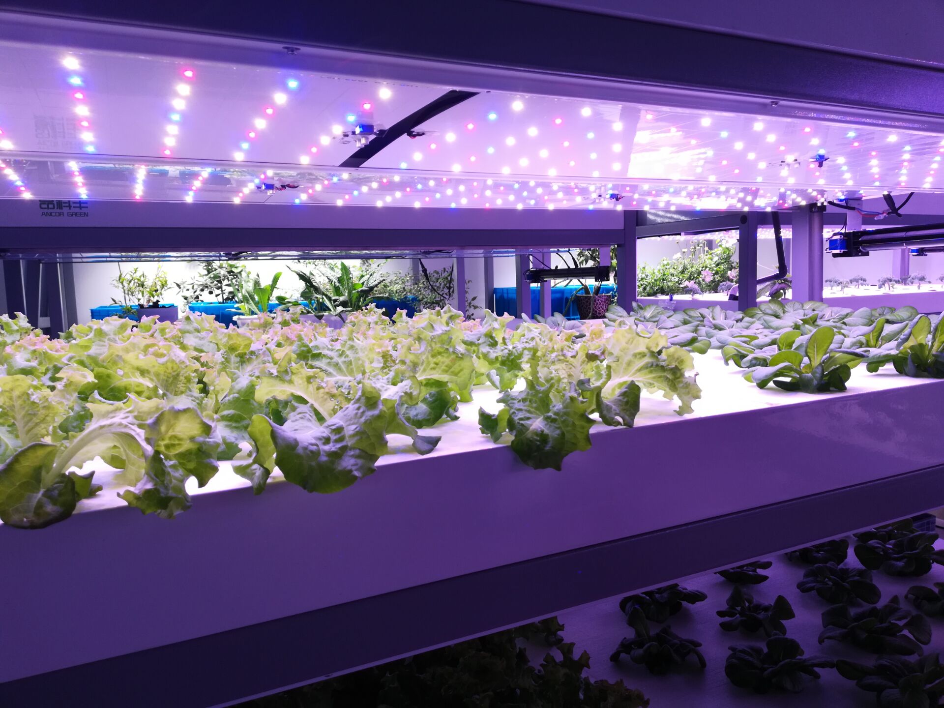 5-211019155144148.jpeg 5-211019155144148.jpeg