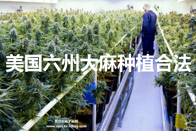 英飛特電子營(yíng)收大幅上漲 植物照明LED貢獻(xiàn)巨大(圖3) 1-211102164444546.png