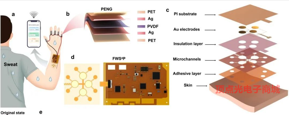 柔性壓電薄膜傳感器通過實測 可通過關節運動發電 提供醫學診斷數據(圖2) 1-21120G41345507.png
