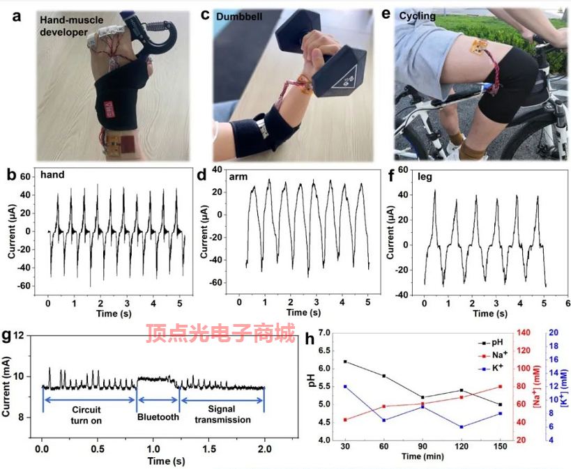 柔性壓電薄膜傳感器通過實測 可通過關節運動發電 提供醫學診斷數據(圖3) 1-21120G41611563.png