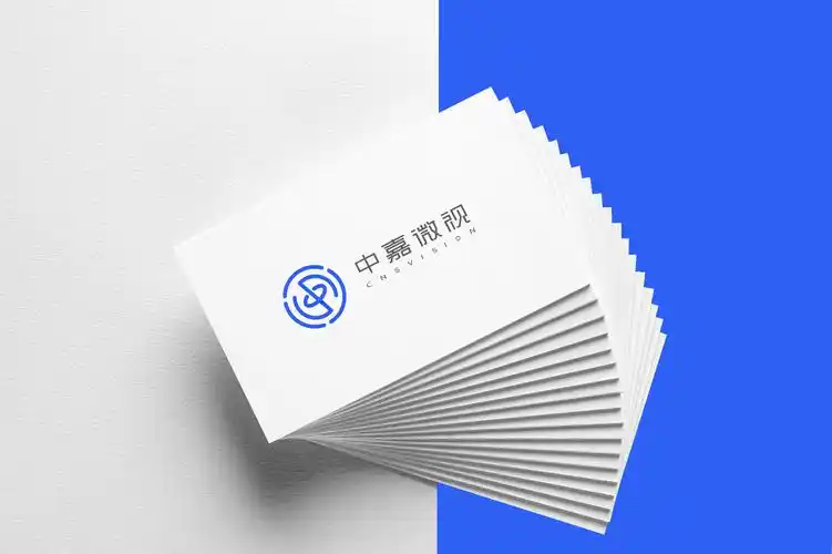 中嘉微視完成近億元A輪融資,系國產(chǎn)半導(dǎo)體檢測設(shè)備商(圖1) 9-250Z51FRB10.png